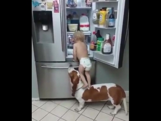 accomplices rob the refrigerator